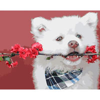 Tablou pe numere Strateg R16 /25 (GS948)(49375) Domnul in alb, 40x50 cm