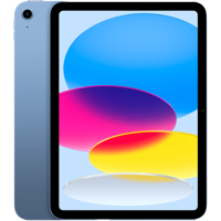iPad (11 inch)