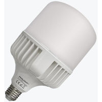 Лампочка Panlight PL-TLA50276