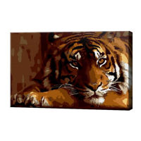 Картина по номерам Art Gallery CX4462 20x30cm Tigru serios