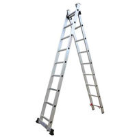 Лестница Technoworker 2x6 (DLE206)