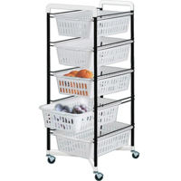 Этажерка Artex 13.20.15 Etajera cu roti 5 rafturi color