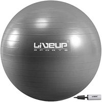 Minge LiveUp LS3222/75/GY Anti Burst Ball 75cm
