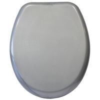 Сиденье для унитаза Bisk 05867 IRIS metalic