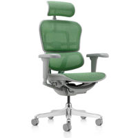Офисное кресло ART Ergohuman Ultra Green T-168-B6 EHU-AG-HAM-4D Офисное кресло ART Ergohuman Ultra Green T-168-B6 EHU-AG-HAM-4D