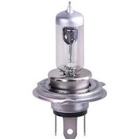 Автомобильная лампа Trifa 51661 halogen 12V H7 60/55W+30% Prime, P43t