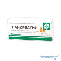 Pancreatin comp. gastrorez.25 UA N10x2 (Biosintez)