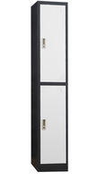 купить Металлический шкаф с 2 дверьми, белый-серый 300x450x2000 мм в Кишинёве