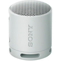 Колонка портативная Bluetooth Sony SRSXB100H