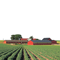 Фермерское хозяйство