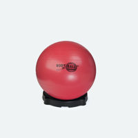 Мяч гимнастический 75 см Dittmann Pro  (3741)