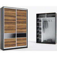 Шкаф Indart Dulap-cupeu 06 (150x60x230)