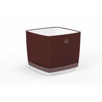 cumpără 2441Boxă din 2 straturi pentru flori150F6 în Chișinău