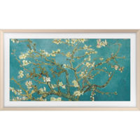 Accesoriu p/u televizoare Samsung VG-SCFC43SGMRU