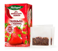 Herbapol TG Strawberry and Wild Strawberry fruit tea  20*2,5g