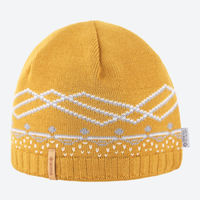 Шапка Kama Urban Beanie, 100% MW, inside WS fleece band, AW60