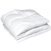 Домашний текстиль Promstore 51100 Plapuma 195Х215cm Professional, microfibra, 200g/m3