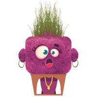 Set de creație Hape 848101 Experiment științific Sandra uimită