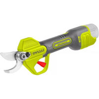 Ножницы садовые Dyllu DTJFP25082 (51371)