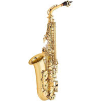 Instrument muzical de suflat Parrot 6430 GL ALTO