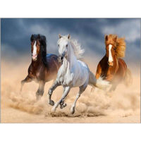 Картина по номерам ToyMall 004041 Mozaic cu diamante 40x50