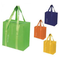 Сумка холодильник GioStyle 34739 Fiesta Vertical textila 32,5x34,5x21cm h11 25l