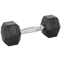 Гантель inSPORTline 13274 Гантель 2 кг IN29837