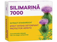 Silimarina 7000 comp. N30 Fiterman