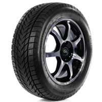 Шина Centara Vanti Winter 175/70 R13 82T