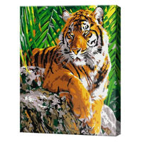 Картина по номерам Art Gallery CX4267 20x30cm Tigru in jungla