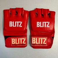 Перчатки MMA L Blitz Pro Club A2 57-20 (9354)
