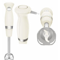 Blender MOULINEX DD471A10