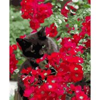 Картина по номерам Strateg VA-3593 Motan in flori rosii 40x50