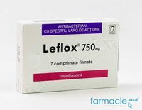 Leflox comp.film. 750mg N7