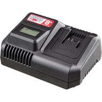 Încărcătoare și Acumulatoare Raider RDP-R20 încărcător rapid 8Ah cu ventilator de răcire