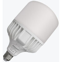 Лампочка Panlight PL-TLA40276