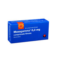 Moxogamma 0.3mg comp. film. N30