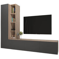 Шкаф Arta Mobilei Гостиная  Gray G15 (AM126)