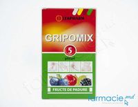 Gripomix (fructe de padure) pulb./sol. orala 10 g N5