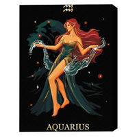 Tablou pe numere BrushMe BSB0043FC (fără cutie) Vărsător