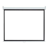 Экран для проекторов miscellaneous Manual Projection Screen CY-MS 84"(4:3), 170x127cm, Matte White