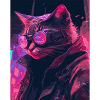 Tablou pe numere Strateg R 8 /20 (DY389)(47692) Pisica din viitor, 40x50 cm