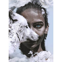Декор Pereflex GL-13476 Glasspik 80x120cm (GL442) Wolf Women (085353)