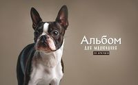 Album pentru desen 20 foi 120 gr