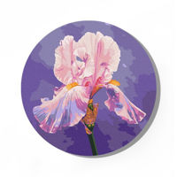 Картина по номерам BrushMe RC00078M rotunda d30, Iris roz