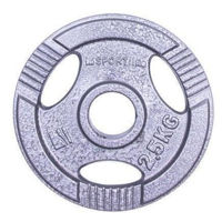 Гантель inSPORTline 328 Disc d=30 mm metal 2,5 kg Hamerton 12709