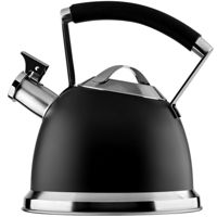 Чайник Ardesto AR0747KS Black Mars