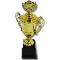 Спортивное оборудование miscellaneous 6531 Cupa 31 cm 243-1250 plastic