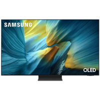 Телевизор Samsung OLED 4K QE55S95FAUXUA Vision AI