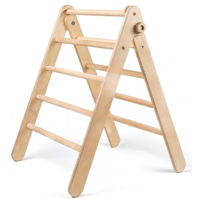 Игровой комплекс для детей KinderStar 608001 Лесенка Пиклер